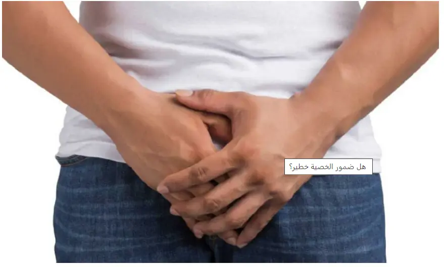 تشخيص أمراض الخصية